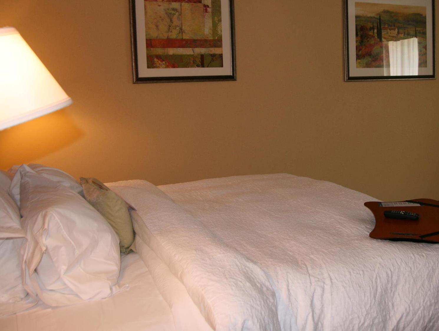 ハンプトン イン エルキンス 写真