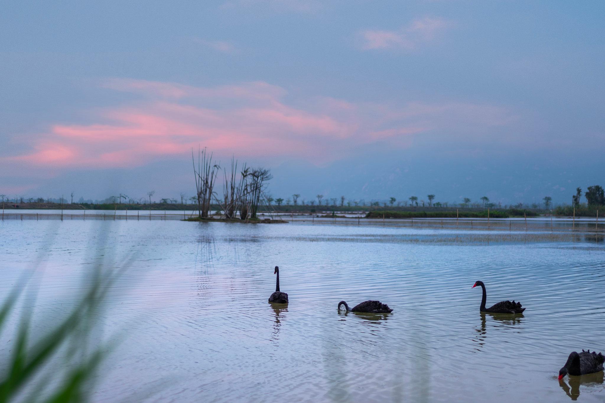 Holiday Inn Express Jiangmen Yinhu Bay By IHG 写真