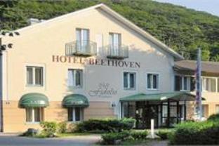 ホテル ベートーベン 写真