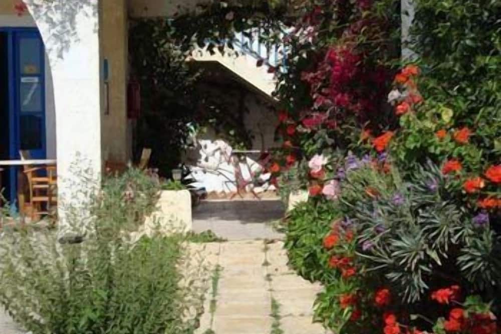 クレタ サン ホテル ストゥディオズ 写真