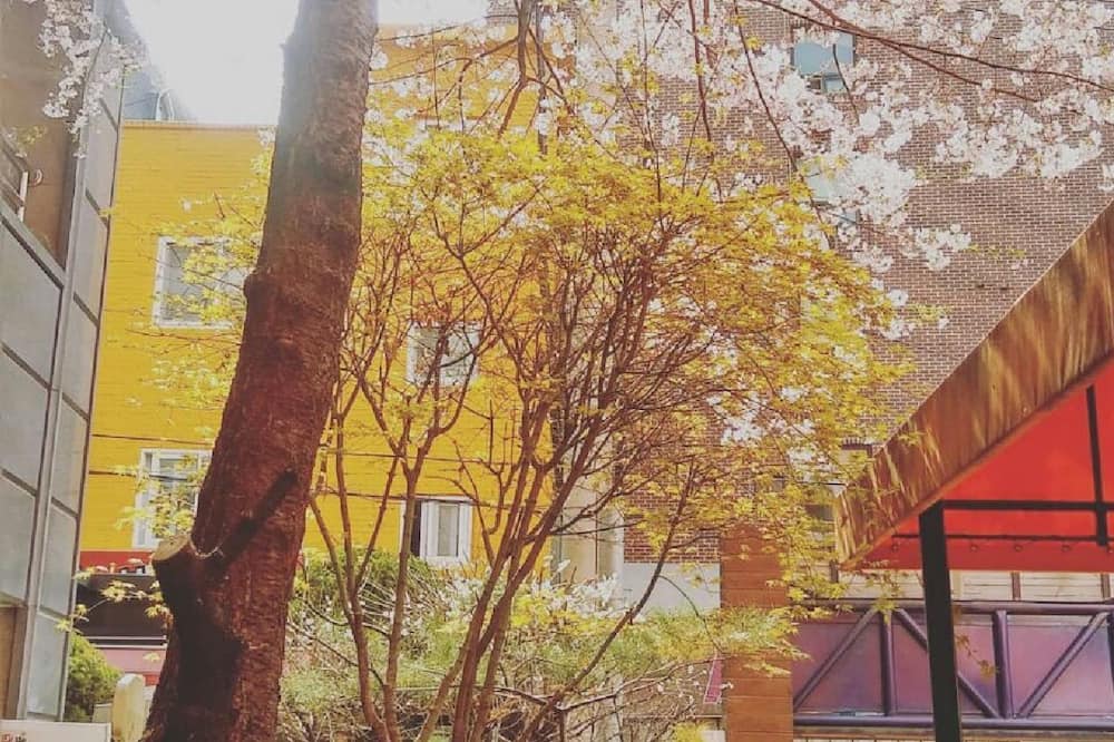 オッパ ホステル シンチョン ホンデ 写真