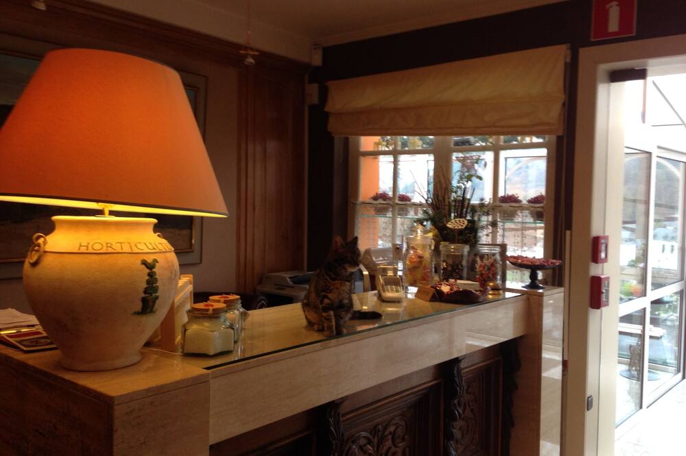 ホテル コージー 写真