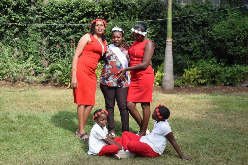 ヴィエンナ ウッズ ホリデー イン リミテッド 写真