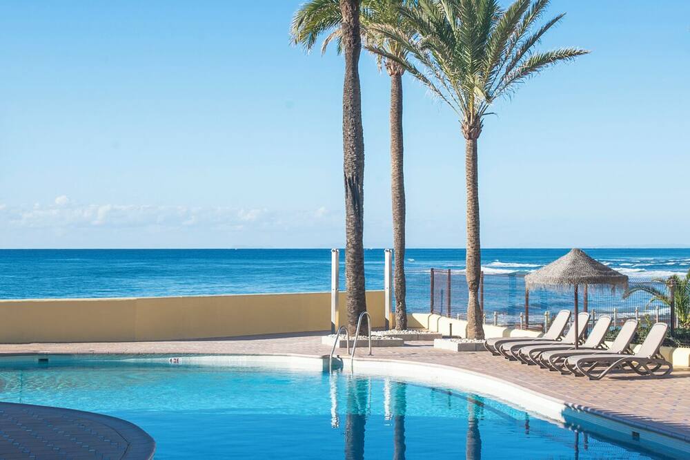 マクドナルド ドナ ローラ クラブ 写真