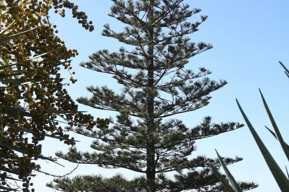 Hotel Do Campo 写真