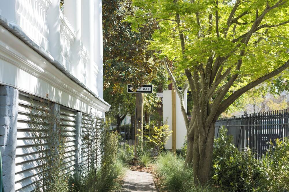 ジ アシュリー 写真