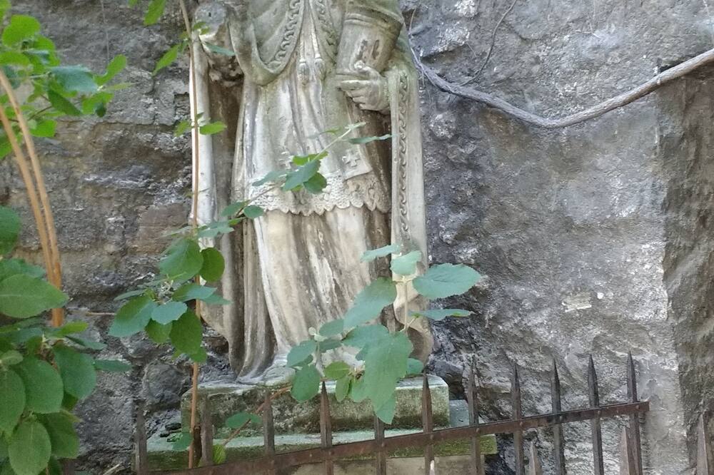 ブティック ホテル アム ステファンスプラッツ 写真