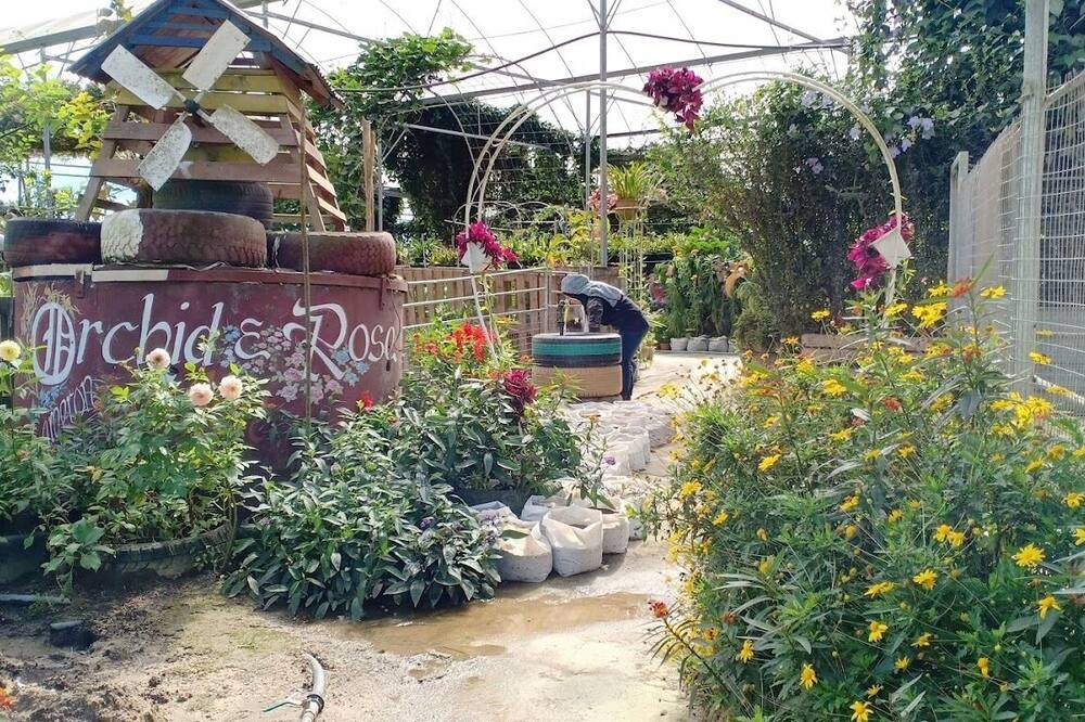 ザ リトリート サンライズビュー キャメロン ハイランド 写真