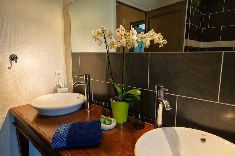 Logis Hôtel Le Chai De La Paleine 写真