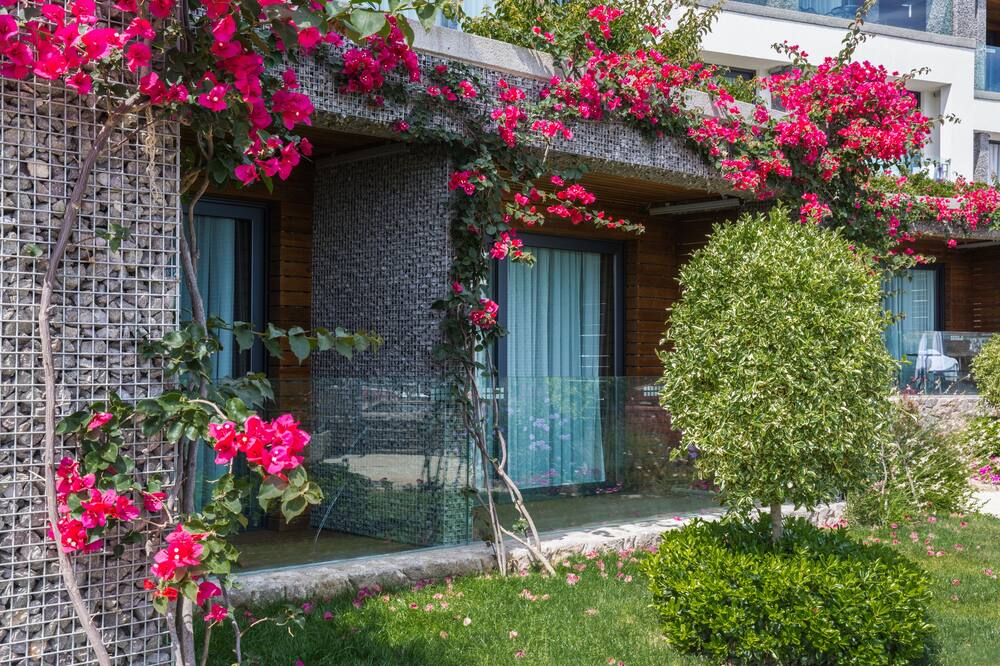 コスタ ファリリヤ スペシャル クラス ホテル ボドルム - スペシャル クラス 写真