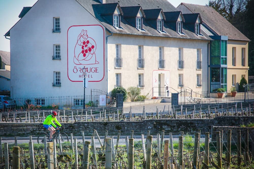 Hôtel-Spa Ô Rouge - Gevrey-Chambertin - Teritoria 写真