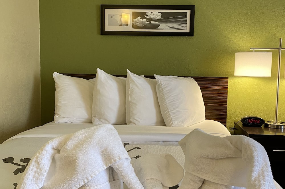 スリープ イン & スイーツ グランド ラピッズ サウスイースト - ケントウッド 写真