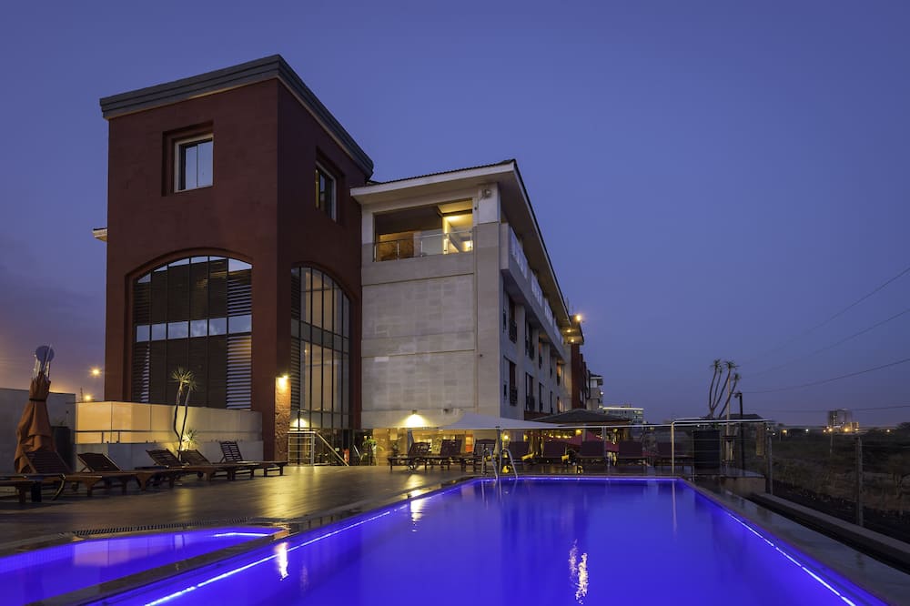 254 オーレ セレニ 写真