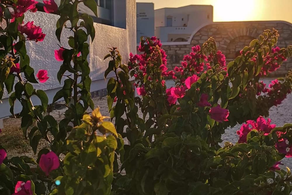 ブルー ハーモニー アパートメンツ 写真