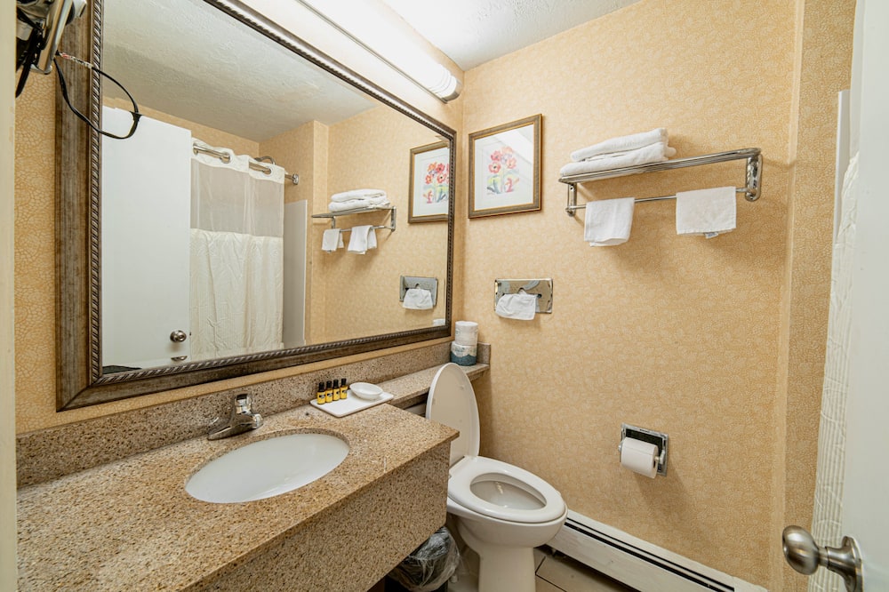 ホテル ボストン 写真