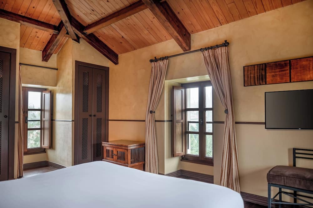 ホテル パラシオ デル カルメン オートグラフ コレクション 写真