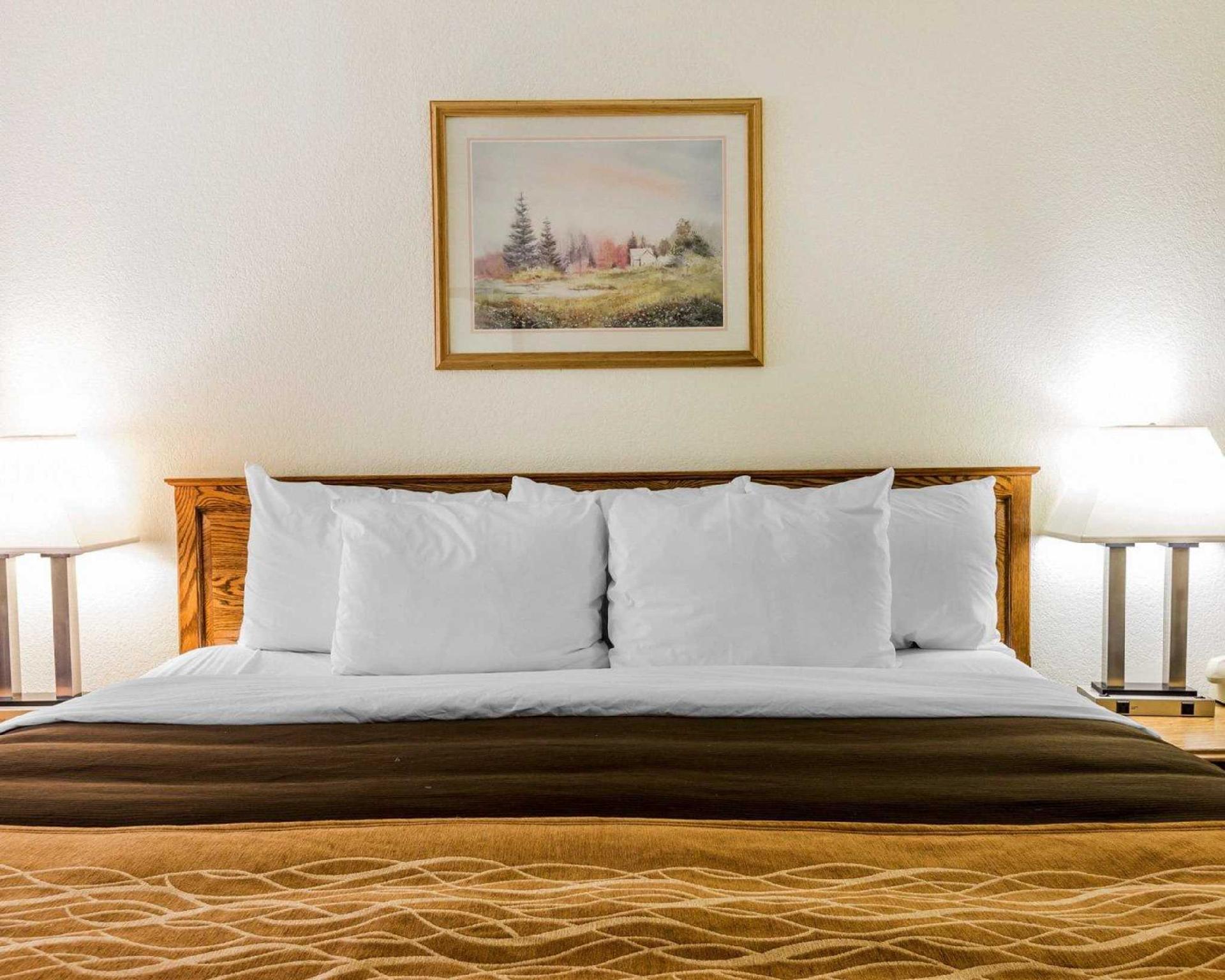 クオリティ イン オーレイ 写真