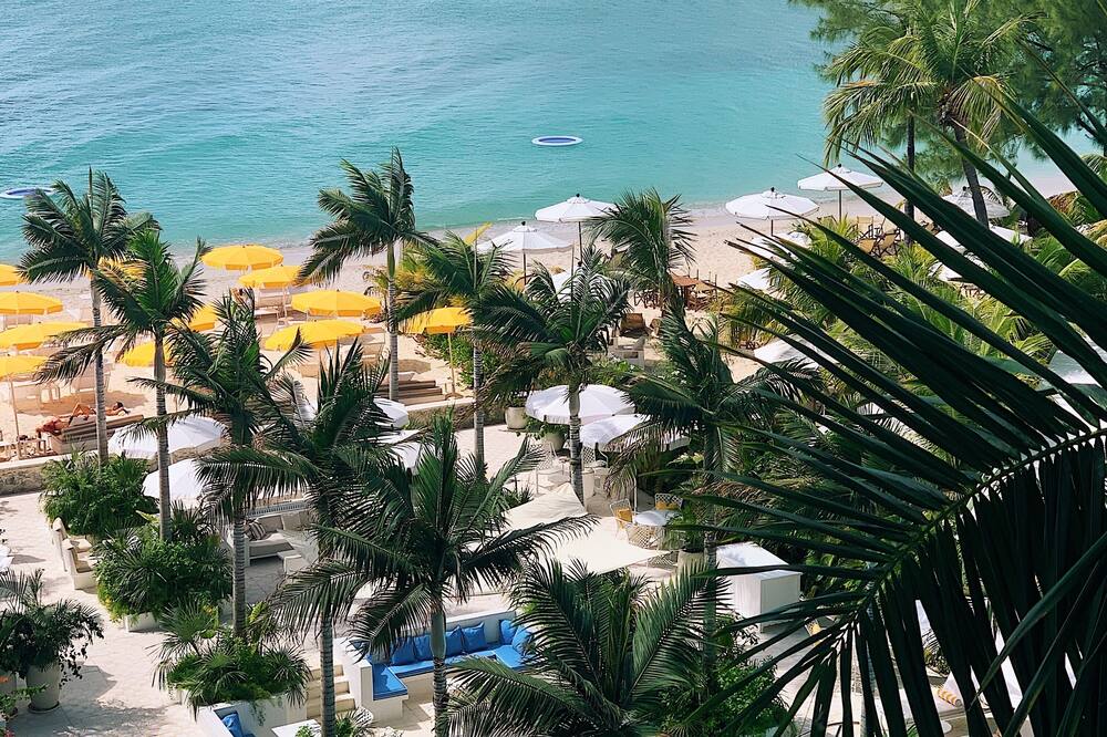 パーム ハイツ 写真