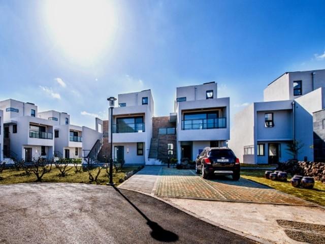 サンバンサネ 写真