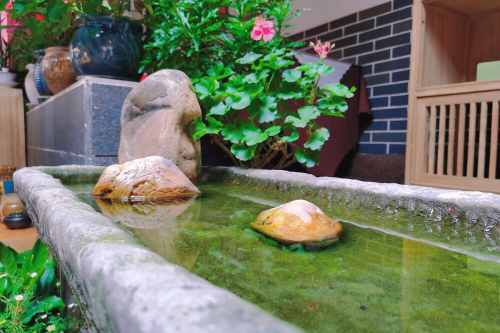 ウェンジュン コートヤード ホテル 成都 - 春熙路支店 写真