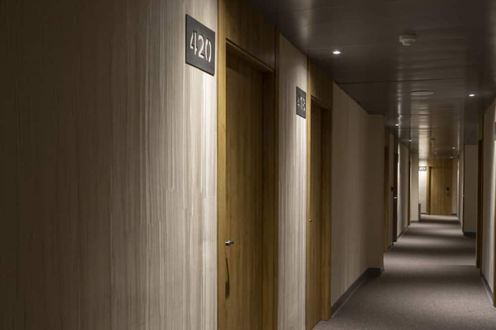 Hotel Zentral Mayoral 写真