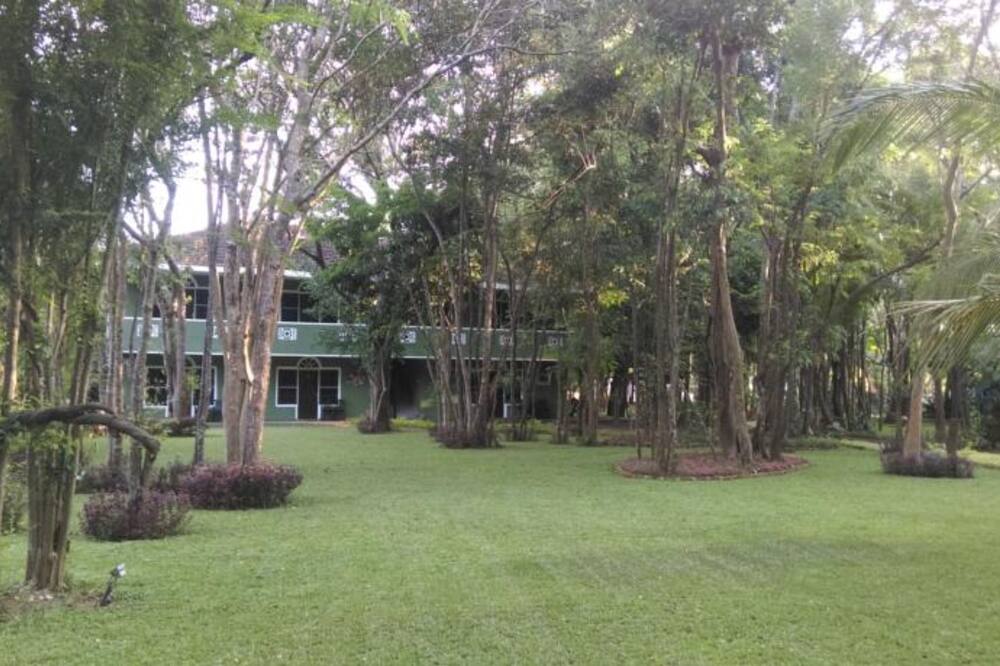 ホテル エデン ガーデン 写真