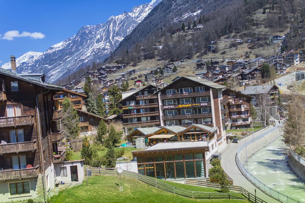 エクセルシオール 写真