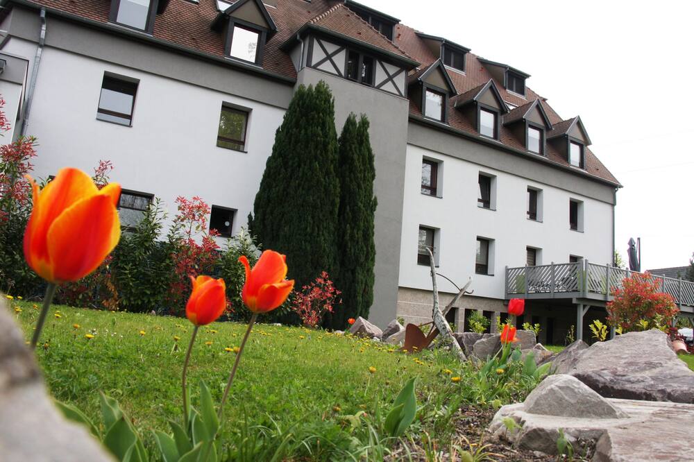 オテル レストラン レ ザリゼ 写真