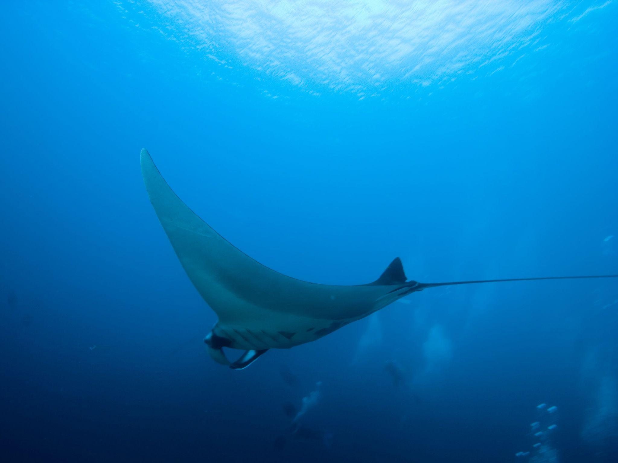 ゼーヴォラリゾート 写真