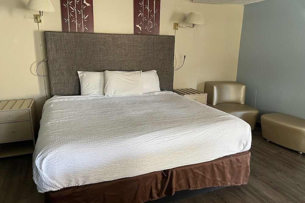 サファリ モーテル 写真