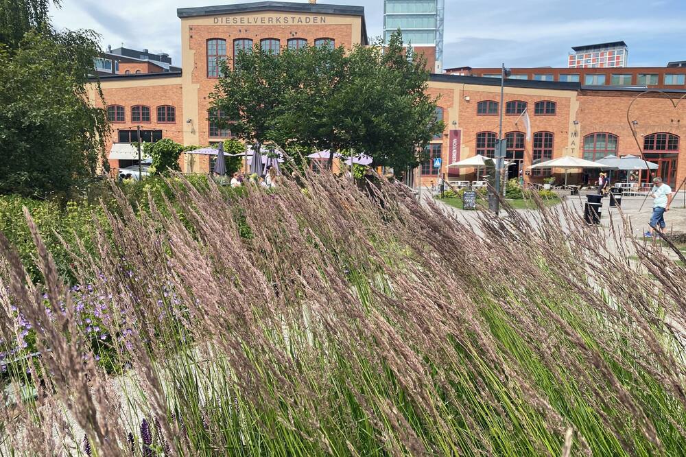 プロフィルホテルズ ナッカ 写真