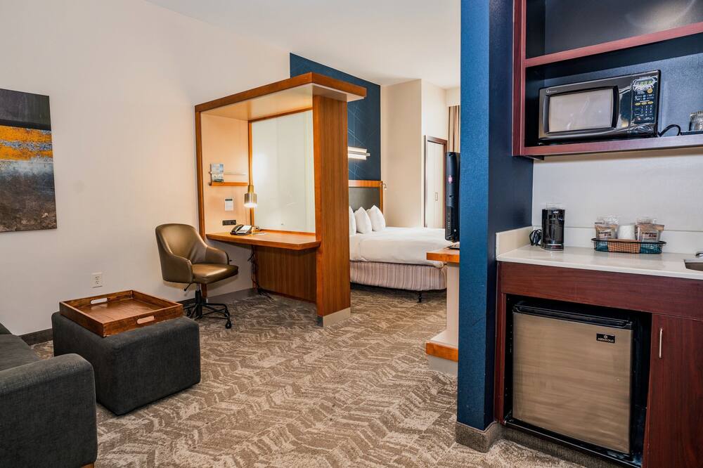 SpringHill Suites by Marriott San Antonio Alamo Plaza/Convention Center 写真