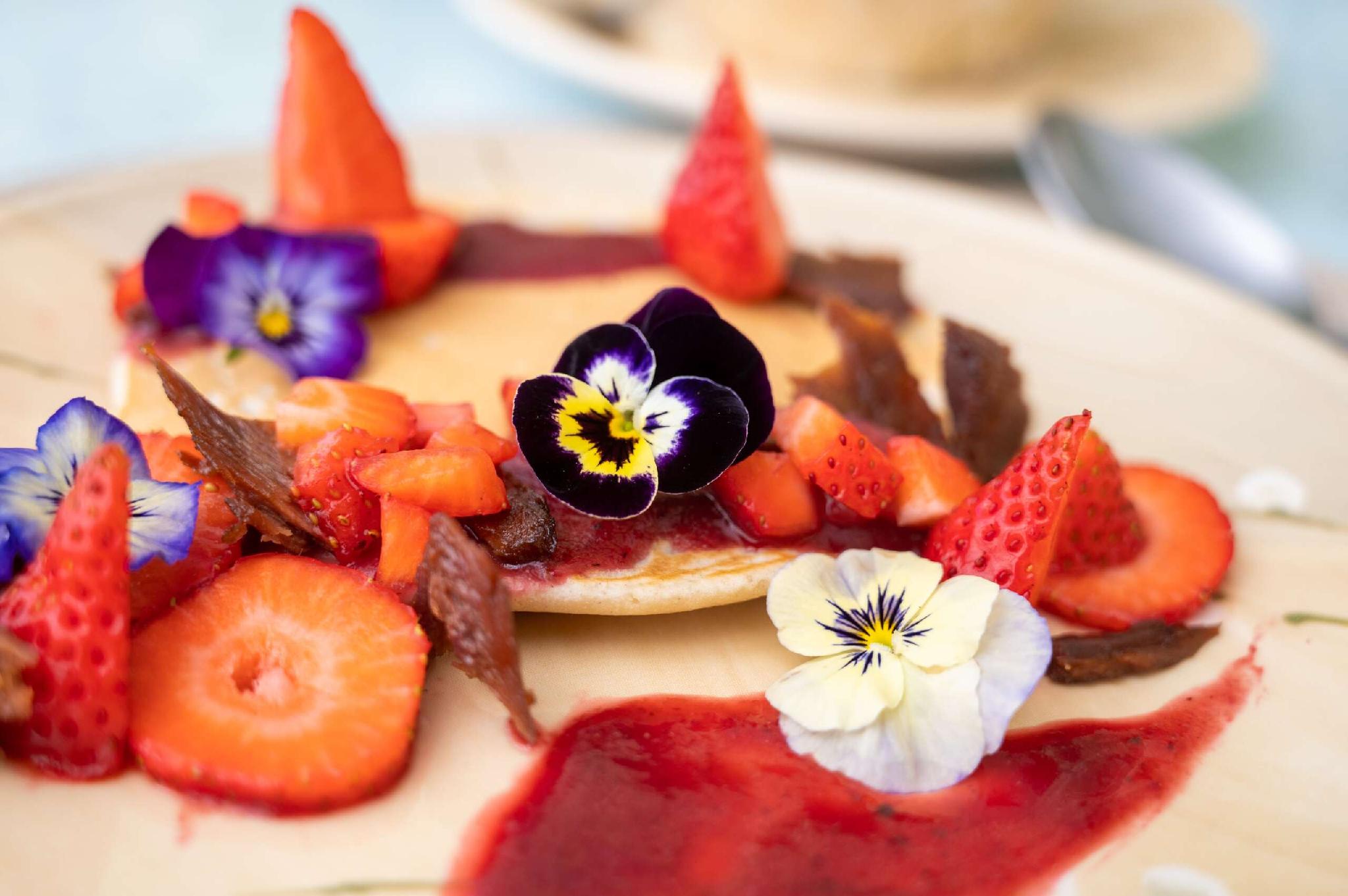 エンチャンテッド マナー 写真