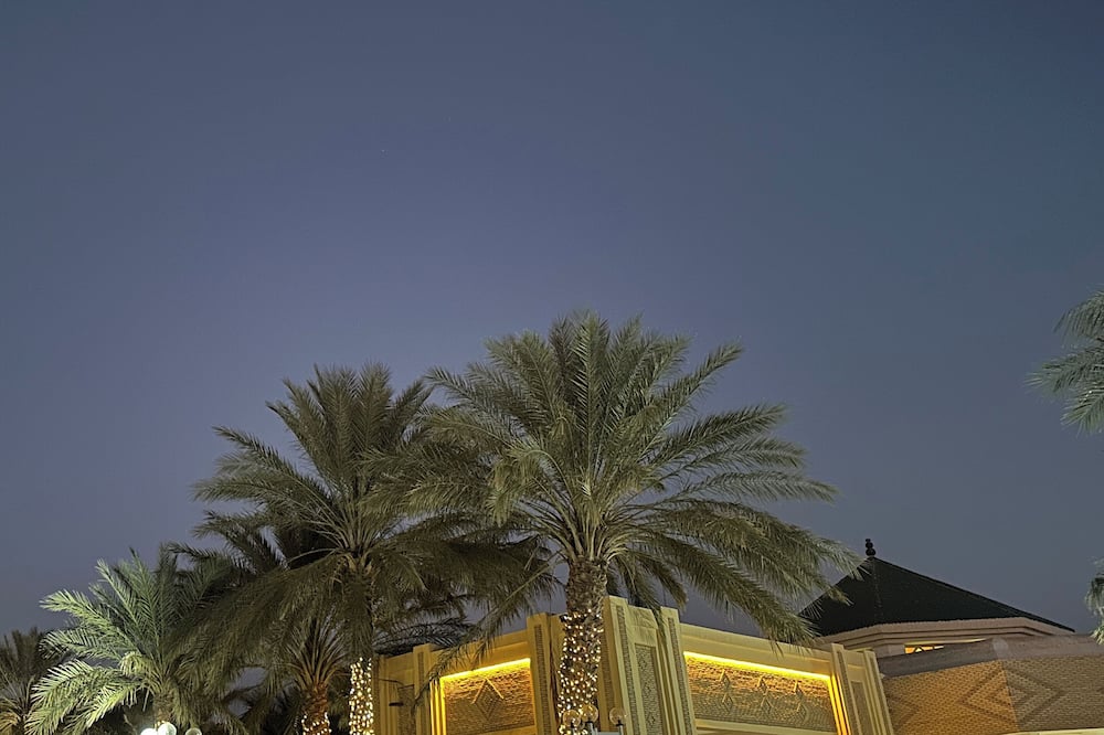 エル ムラディ トズール 写真