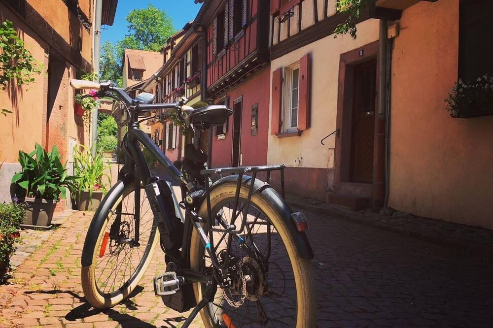 ベスト ウェスタン プラス モノポール メトロポール 写真