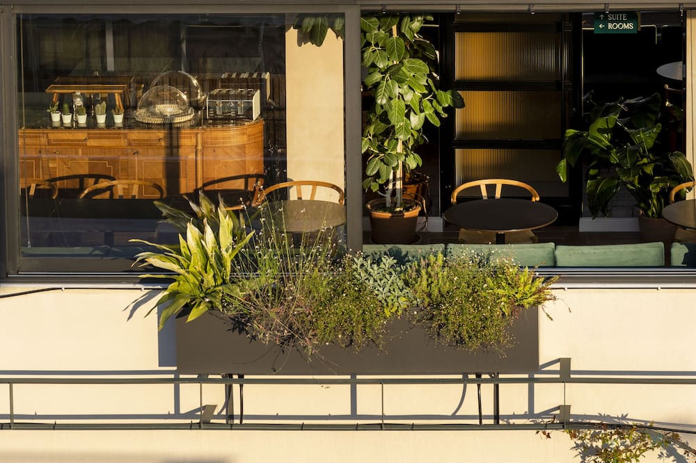 ラヴベントュラ アテネ 写真