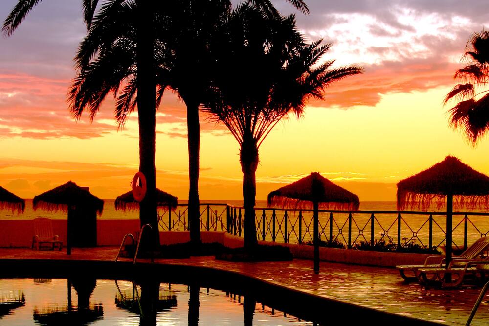 マクドナルド ドナ ローラ クラブ 写真