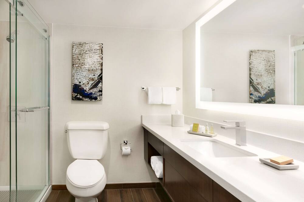 クラウン プラザ タイソンズ コーナー マクリーン 写真