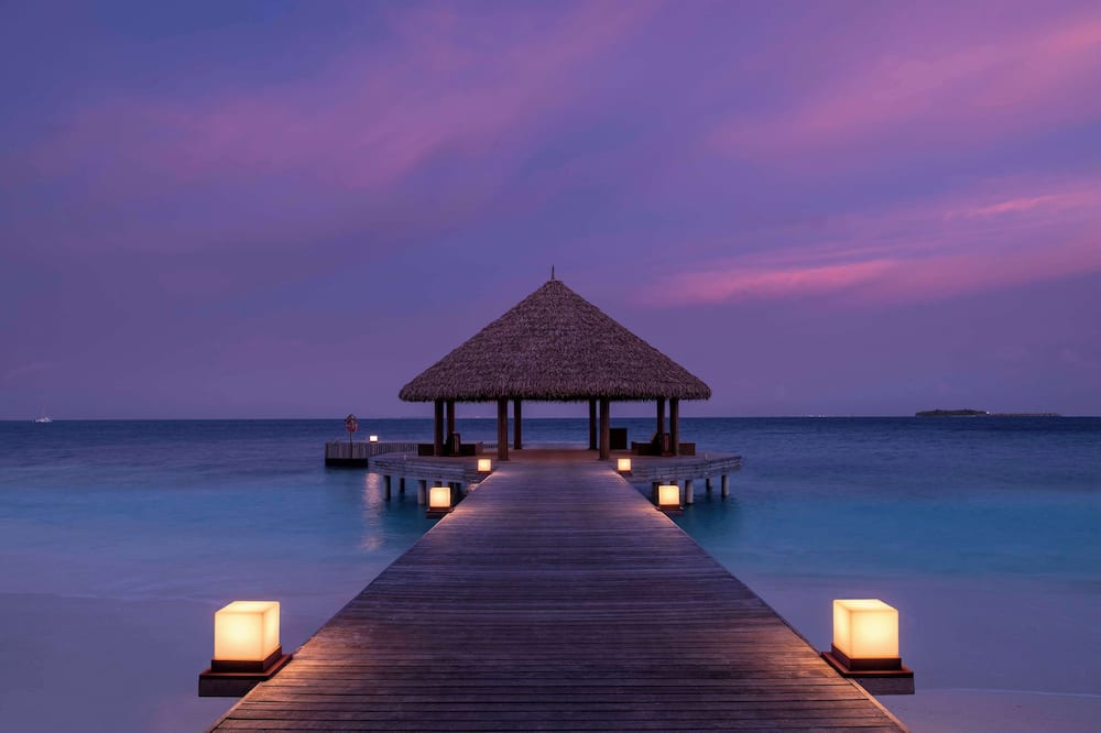 ダワ イフル 写真