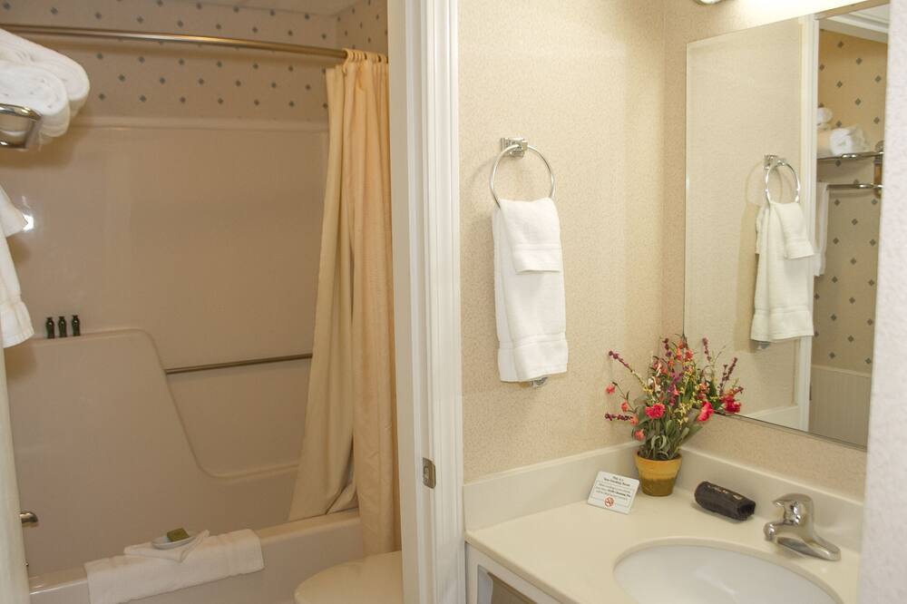 フラグシップ イン アンド スイーツ 写真