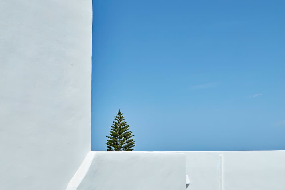 サントリーニ パレス 写真