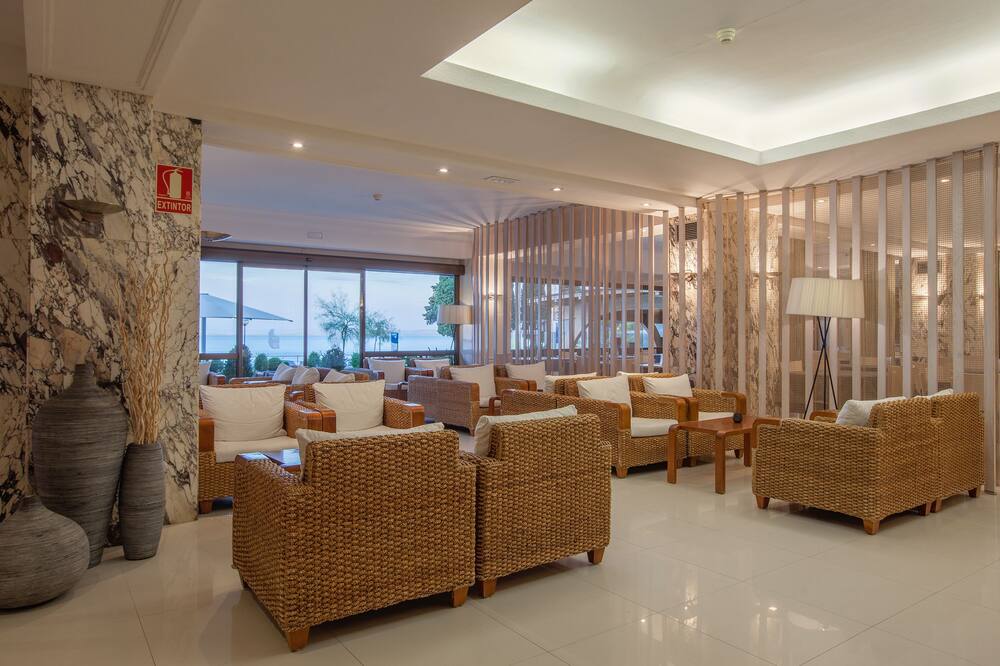 カニェリェス プラッチャ 写真