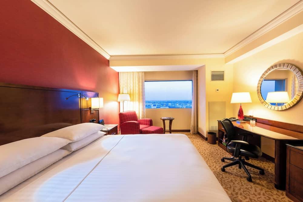 アグアスカリエンテス マリオット ホテル 写真