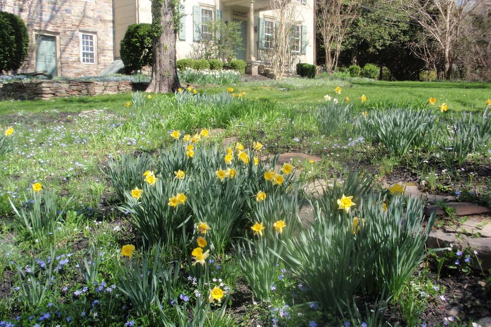 イン アット グレンケアン 写真