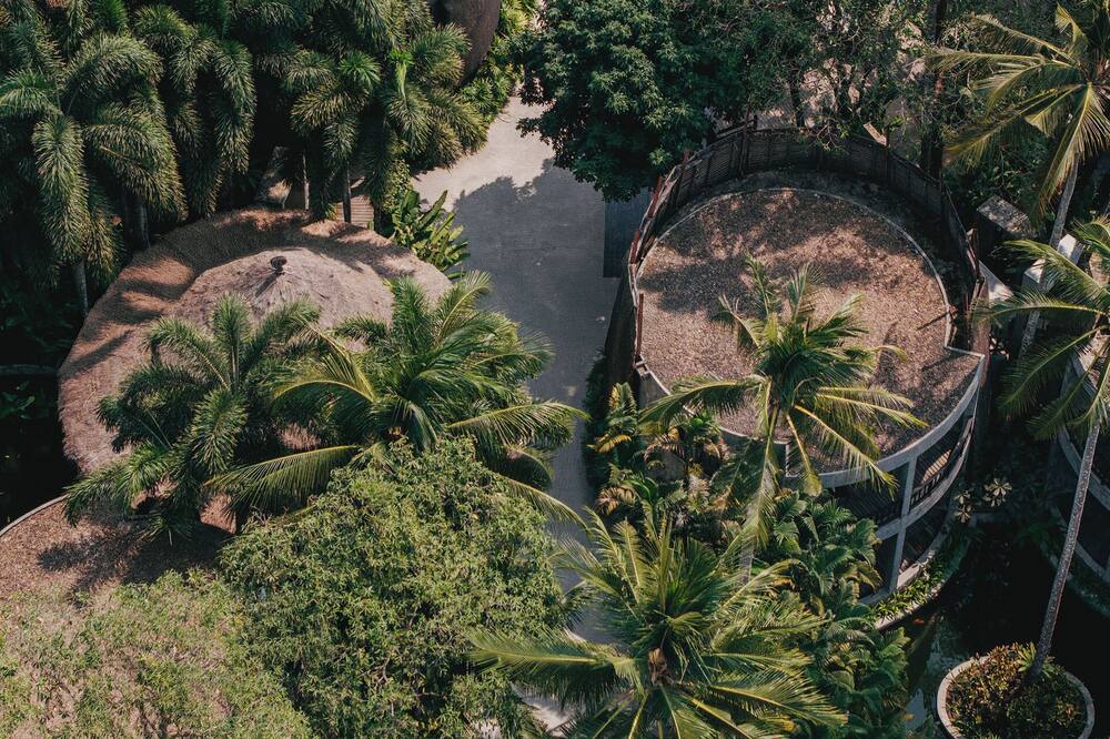 ザ デワ コ チャン 写真