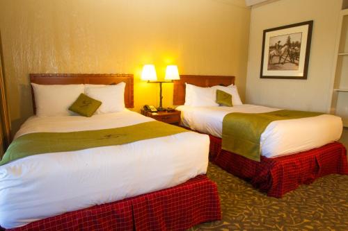 ジャクソン レイク ロッジ 写真