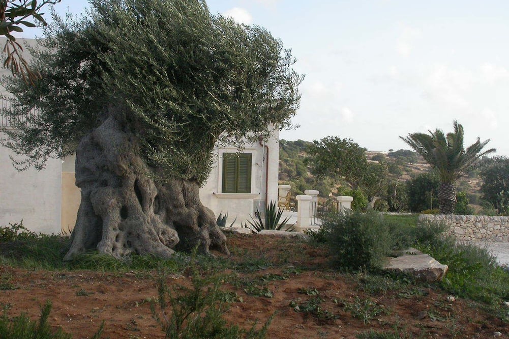 Relais Parco Cavalonga 写真