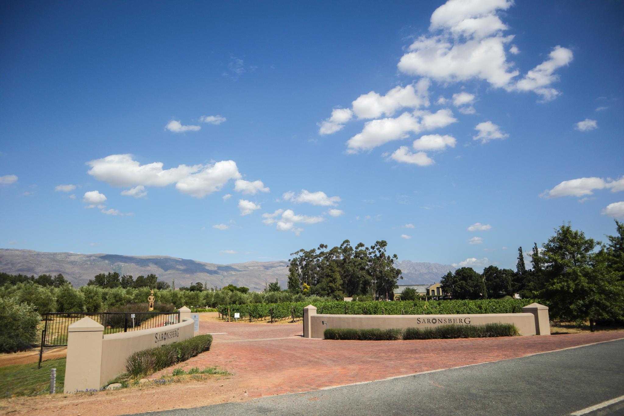 サロンズベルグ ワインヤード コテージズ 写真