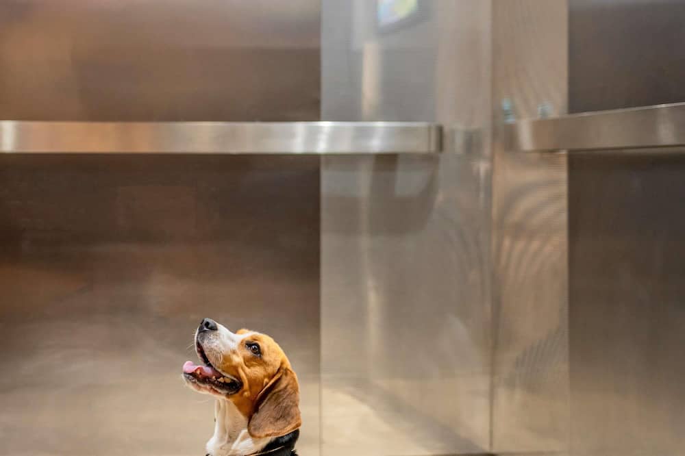 イビス リスボン リベルダーデ 写真