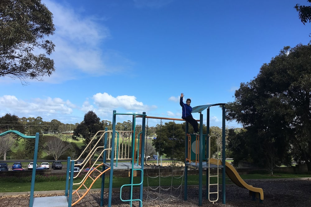 ライムストーン コースト ツアリスト パーク 写真